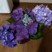 ヒメ日記 2025/06/10 13:35 投稿 みのり 熟女の風俗最終章 町田店