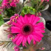 ヒメ日記 2025/06/23 13:01 投稿 みのり 熟女の風俗最終章 町田店