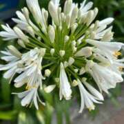 ヒメ日記 2025/07/07 06:50 投稿 みのり 熟女の風俗最終章 町田店