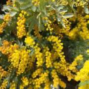 ヒメ日記 2026/03/05 16:37 投稿 みのり 熟女の風俗最終章 町田店