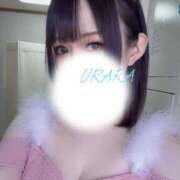 ヒメ日記 2025/12/10 13:34 投稿 うらら 恋するバニー