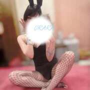 ヒメ日記 2025/12/17 13:08 投稿 うらら 恋するバニー