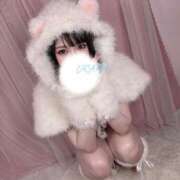 ヒメ日記 2025/12/19 20:00 投稿 うらら 恋するバニー