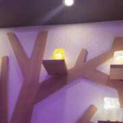 ヒメ日記 2025/05/11 20:42 投稿 きみか 豊満熟女