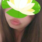 ヒメ日記 2025/07/25 01:10 投稿 きみか 豊満熟女