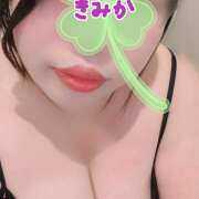 ヒメ日記 2026/06/03 08:34 投稿 きみか 豊満熟女