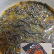 ヒメ日記 2026/01/21 15:35 投稿 るき バイオレンス