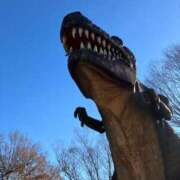 ヒメ日記 2024/12/17 00:08 投稿 月岡未来(みらい) 東京不倫～とうきょうふりん～