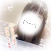 ヒメ日記 2025/04/02 18:45 投稿 える 奥様なでしこ