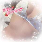 ヒメ日記 2025/09/03 16:35 投稿 える 奥様なでしこ