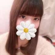 ヒメ日記 2025/11/20 09:27 投稿 キョウコ バニーコレクション千葉栄町店