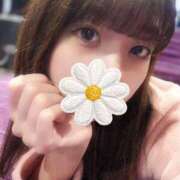 ヒメ日記 2026/01/26 11:23 投稿 キョウコ バニーコレクション千葉栄町店