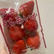 ヒメ日記 2025/02/28 15:36 投稿 すい ニュー不夜城