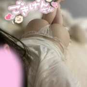 ヒメ日記 2025/08/26 13:30 投稿 すい ニュー不夜城