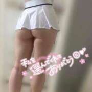 ヒメ日記 2025/08/27 15:19 投稿 すい ニュー不夜城