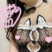 ヒメ日記 2026/02/23 22:00 投稿 すい ニュー不夜城