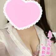 すい 💌 ニュー不夜城