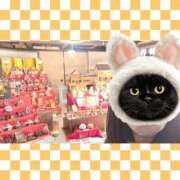 ヒメ日記 2025/02/26 18:03 投稿 まつり 三重松阪ちゃんこ