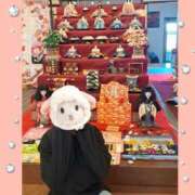 ヒメ日記 2025/03/03 18:53 投稿 まつり 三重松阪ちゃんこ