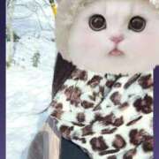 ヒメ日記 2025/03/04 12:04 投稿 まつり 三重松阪ちゃんこ