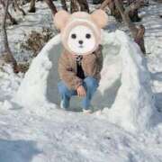 ヒメ日記 2025/03/04 16:53 投稿 まつり 三重松阪ちゃんこ