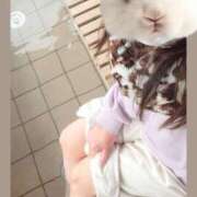 ヒメ日記 2025/03/11 12:23 投稿 まつり 三重松阪ちゃんこ