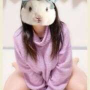 ヒメ日記 2025/03/26 18:13 投稿 まつり 三重松阪ちゃんこ