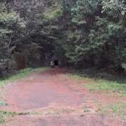 ヒメ日記 2025/04/12 16:53 投稿 まつり 三重松阪ちゃんこ