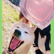 ヒメ日記 2025/04/14 18:23 投稿 まつり 三重松阪ちゃんこ