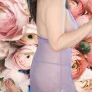 ヒメ日記 2025/04/20 18:23 投稿 まつり 三重松阪ちゃんこ