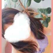 ヒメ日記 2025/04/21 13:03 投稿 まつり 三重松阪ちゃんこ