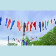 ヒメ日記 2025/04/29 12:23 投稿 まつり 三重松阪ちゃんこ