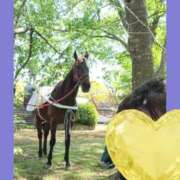 ヒメ日記 2025/05/04 16:19 投稿 まつり 三重松阪ちゃんこ