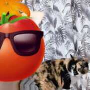 ヒメ日記 2025/05/06 13:53 投稿 まつり 三重松阪ちゃんこ