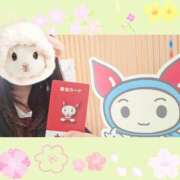 ヒメ日記 2025/05/07 16:13 投稿 まつり 三重松阪ちゃんこ