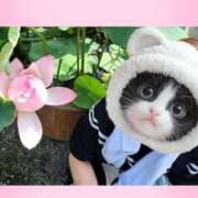 ヒメ日記 2025/05/11 15:53 投稿 まつり 三重松阪ちゃんこ