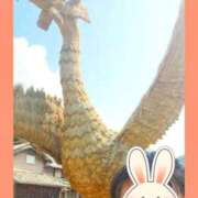 ヒメ日記 2025/05/15 16:43 投稿 まつり 三重松阪ちゃんこ