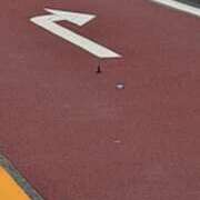 ヒメ日記 2025/06/06 20:03 投稿 まつり 三重松阪ちゃんこ