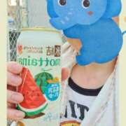 ヒメ日記 2025/06/30 17:03 投稿 まつり 三重松阪ちゃんこ