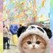 ヒメ日記 2025/07/07 17:53 投稿 まつり 三重松阪ちゃんこ