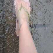 ヒメ日記 2025/07/17 15:53 投稿 まつり 三重松阪ちゃんこ