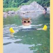 ヒメ日記 2025/08/18 15:43 投稿 まつり 三重松阪ちゃんこ