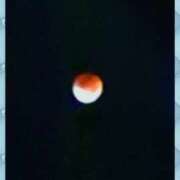 ヒメ日記 2025/09/08 17:23 投稿 まつり 三重松阪ちゃんこ