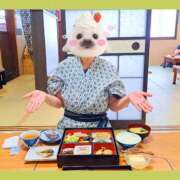 ヒメ日記 2025/09/09 16:53 投稿 まつり 三重松阪ちゃんこ