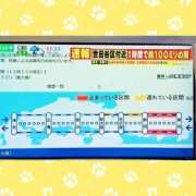 ヒメ日記 2025/09/11 15:53 投稿 まつり 三重松阪ちゃんこ