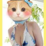 ヒメ日記 2025/09/27 15:43 投稿 まつり 三重松阪ちゃんこ