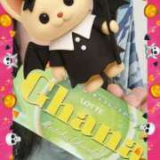 ヒメ日記 2025/10/20 17:04 投稿 まつり 三重松阪ちゃんこ