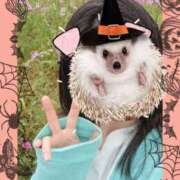 ヒメ日記 2025/10/31 16:43 投稿 まつり 三重松阪ちゃんこ