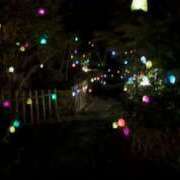 ヒメ日記 2025/12/03 16:03 投稿 まつり 三重松阪ちゃんこ