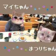 ヒメ日記 2025/12/23 19:13 投稿 まつり 三重松阪ちゃんこ